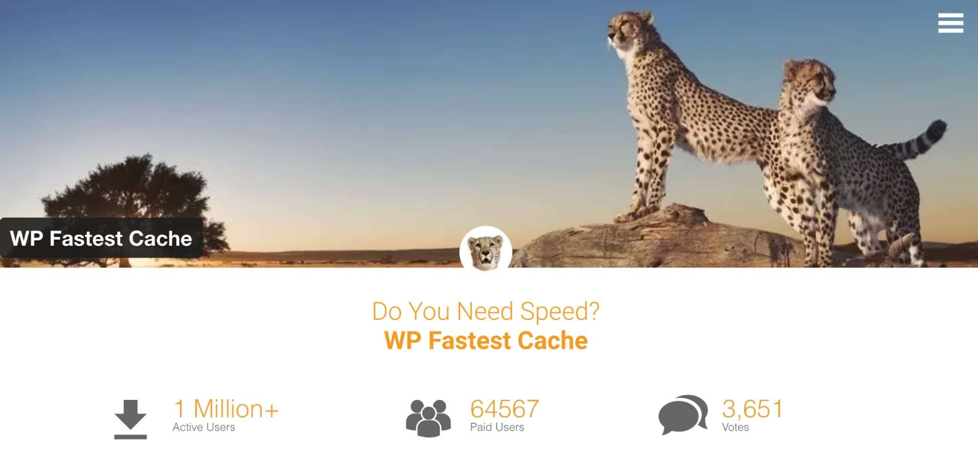 WP Fastest Cache is one of the best free WordPress plugins for caching websites.